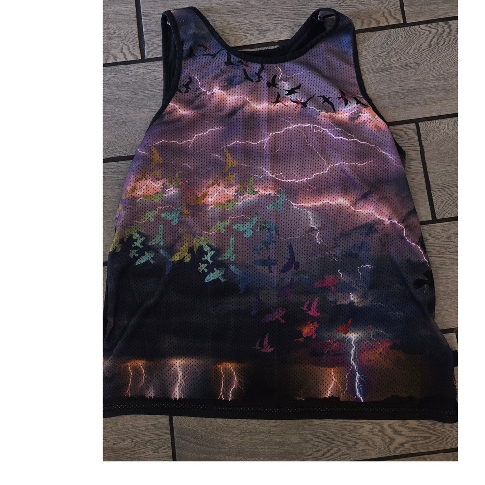 Broken Threads Mens XL Mesh Graphic Tank Top Lightning Storm Birds Streetwear